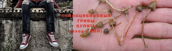 кристаллы Гусев