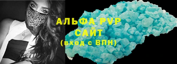 амф Гусиноозёрск