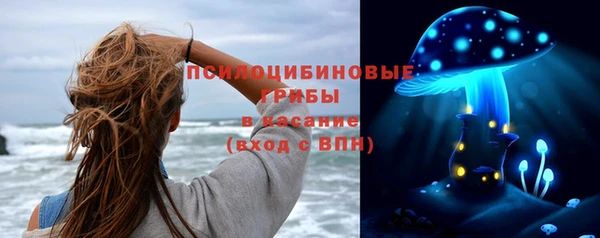 mdpv Железногорск-Илимский