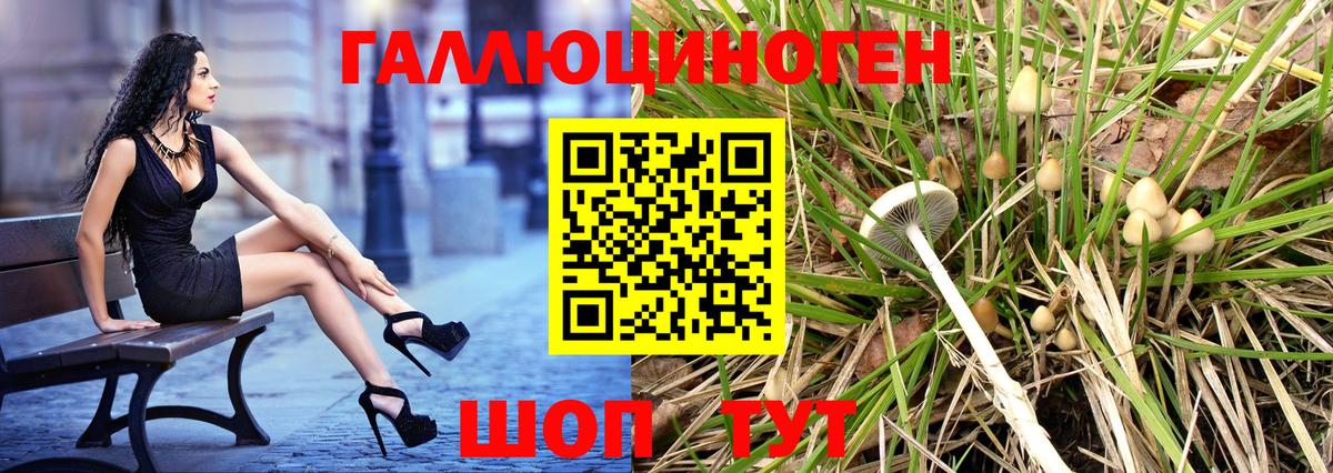 Псилоцибиновые грибы мицелий  Вход с VPN  где можно купить   Обь  Псилоцибиновые грибы Psilocybine cubensis 